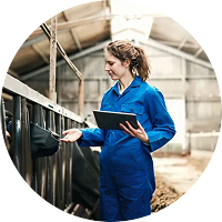 ЧПУП «Метрасалес»