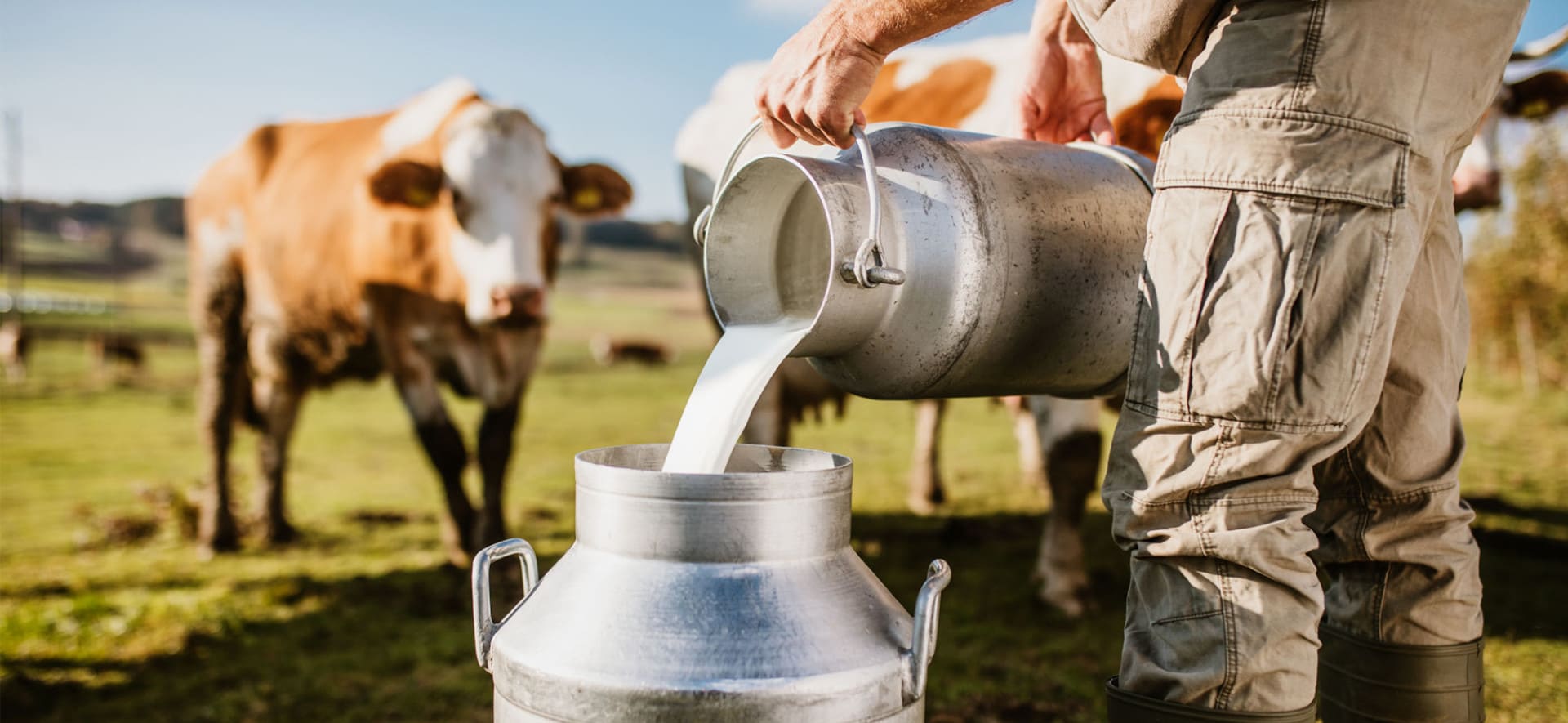 ЧПУП «Метрасалес»