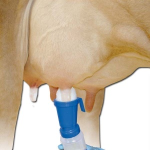 Средство для обработки сосков вымени | ЧПУП «Метрасалес»